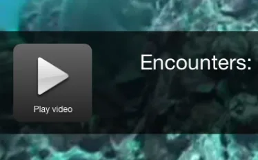 screen_shot_--_at_.._pm.png.webp