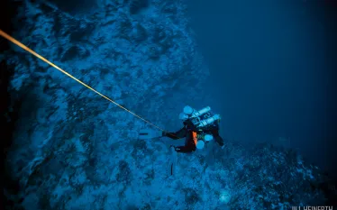 scu-bermuda-deep-blue-large.jpg.webp