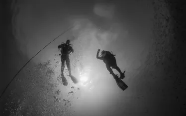 scu-divers-underwater-black-and-white-lessons_.jpg.webp