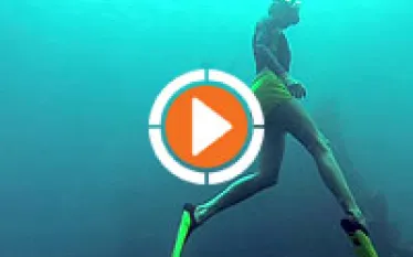 scu-freediving-video-thumb.jpg.webp