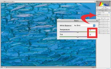 scu-raw-camera-imaging-tutorial.jpg.webp