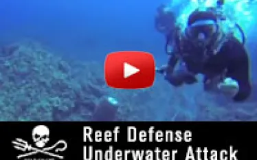 scu-sea-shepherd-diver-attack-thumb.jpg.webp