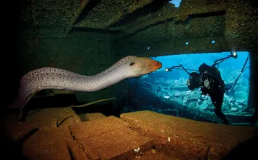scu_diver_eel_wreck_secret_spot.jpg.webp