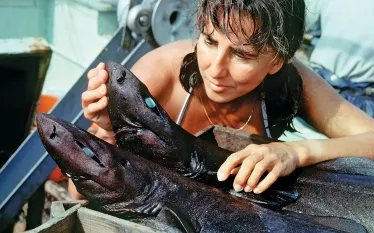 scu_eugenie-clark_shark-lady.jpg.webp