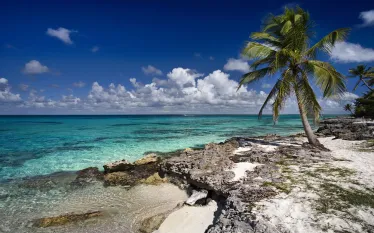 scuba-aruba_shutterstock_.jpg.webp
