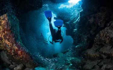 scuba-cayman_shutterstock__.jpg.webp