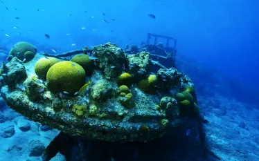 scuba-curacao_shutterstock_.jpg.webp