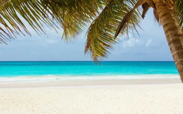 scuba-destination-abaco.jpg.webp