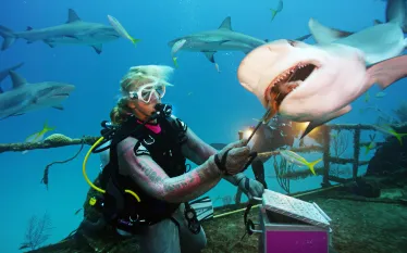 scuba-diving-bahamasfile_.jpeg.webp