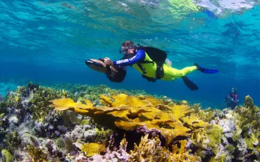scuba-diving-bahamasstuart-sw-reef-dpv.jpg.webp