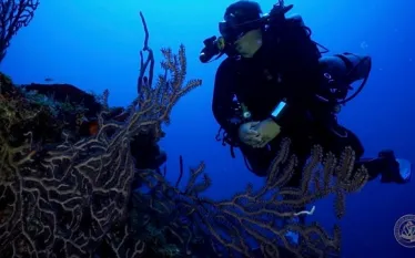 scuba-diving-fourth-cayman-island.jpg.webp