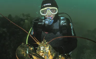 scuba-diving-massachusetts-lobster.jpg.webp