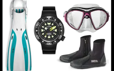 scuba-quick-looks-june-teaser.jpg.webp