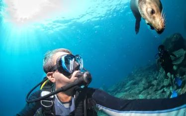 scuba-us_california_shutterstock_.jpg.webp