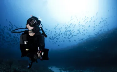 scuba_diver_unexplained_hit_.jpg.webp