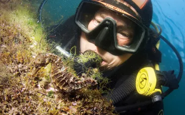 sea-hero-amanda-vincent-underwater-scd.jpg.webp