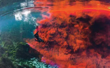 sea-story-dye-diving-florida-jenny-adler-teaser-scd.jpg.webp