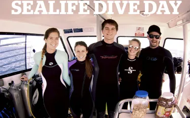 sealife-deerfield-florida-scuba-text.jpg.webp