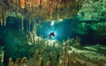 seawatch-mexico-cenotes-teaser.jpg.webp