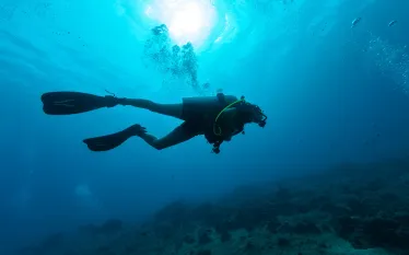 self-rescue.jpg.webp
