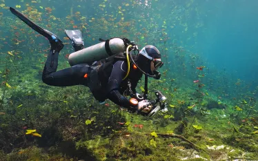 shallow-water-diving-shutterstock-lue-sea.cz.jpg.webp