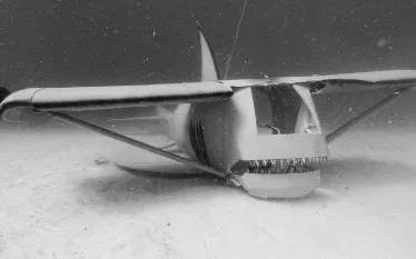 shark-planeo-underwater-courtesy-kendyl-berna-beyond-the-reef.jpg.webp