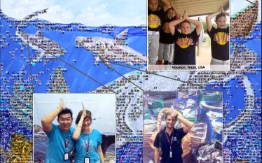 shark_fin_mosaic_sea_save_foundation.jpg.webp