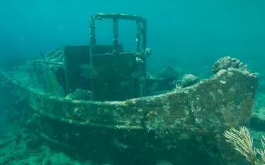 shipwreck-photos-teaser.jpg.webp