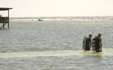 shore-diving.jpg.webp