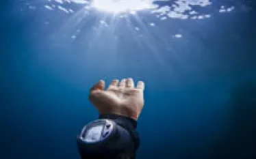 shutterstock__thumb.jpg.webp