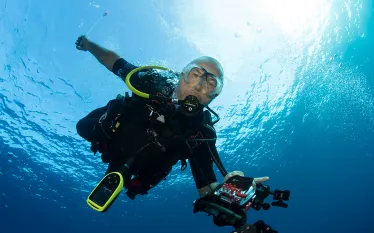 single-diver-annie-crawley.jpg.webp