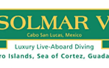 solmar.gif.webp