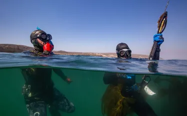 spearfishing-freedivers-at-surface-michael-langhans.jpg.webp