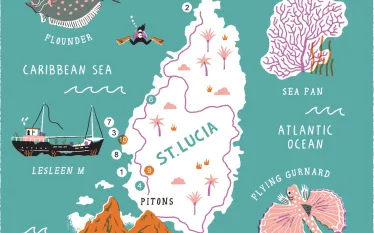 st-lucia-scuba-magazine.jpg.webp