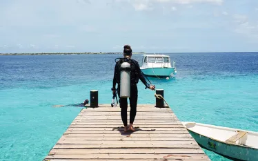 stephanie-buddy-dive-dock-credit-james-barrett.jpg.webp