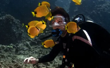 stockphoto-hawaii-beginner-dive-scubadiving_.jpg.webp