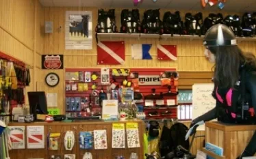 store.jpg.webp
