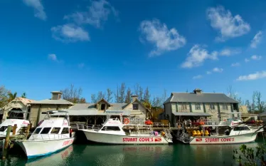 stuart_cove_dock_shot.jpg.webp