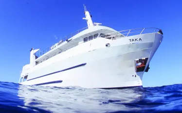 taka   .jpg.webp