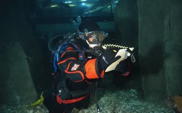 testing-drysuits-in-the-oregon-coast-aquarium.jpg.webp