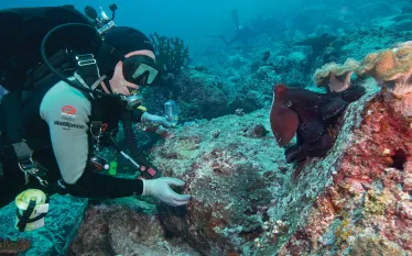 thailand-underwater.jpg.webp