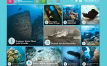 top-bermuda_thumb.jpg.webp
