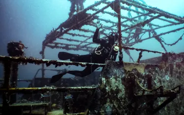 tyrrel-bay-shipwreck-structure-diver-credit-tiffany-duong-ocean-rebels.png.webp