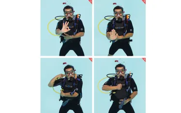 underwater-communication-hand-signals-padi.jpg.webp