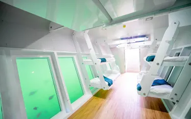 underwater-observatory-lady-musgrave-experience.png.webp