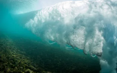 underwater-tsunami-marine-biologist-shutterstock_.jpg.webp