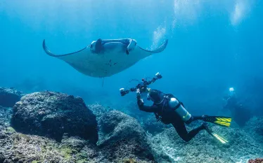 underwater-video.jpg.webp