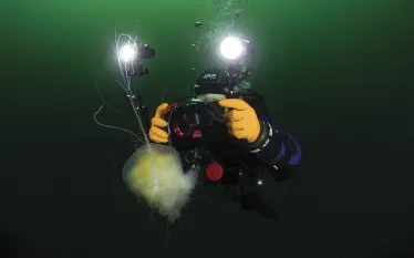 underwater-videographer-annie-crawley.jpg.webp