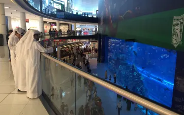 unique-cert-location-dubai-mall-dive.jpg.webp