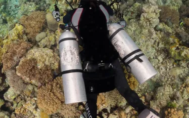 veloceanunderwater_.jpg.webp